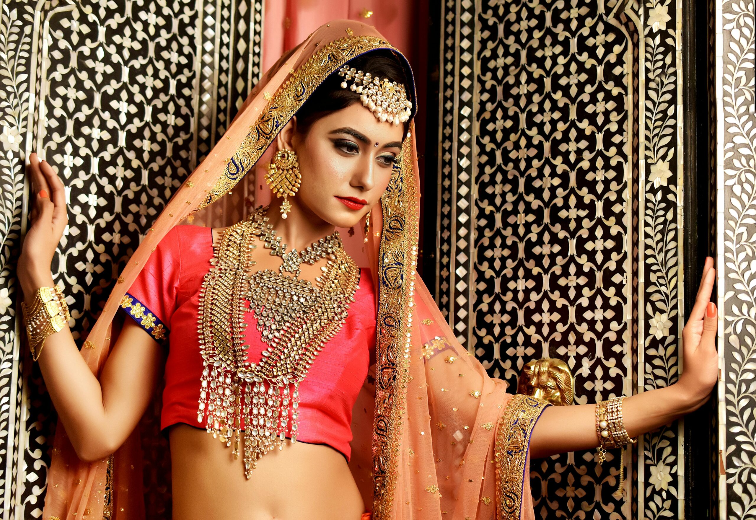 A beautiful woman in traditional Indian clothing and jewelry posing against an ornate background.
